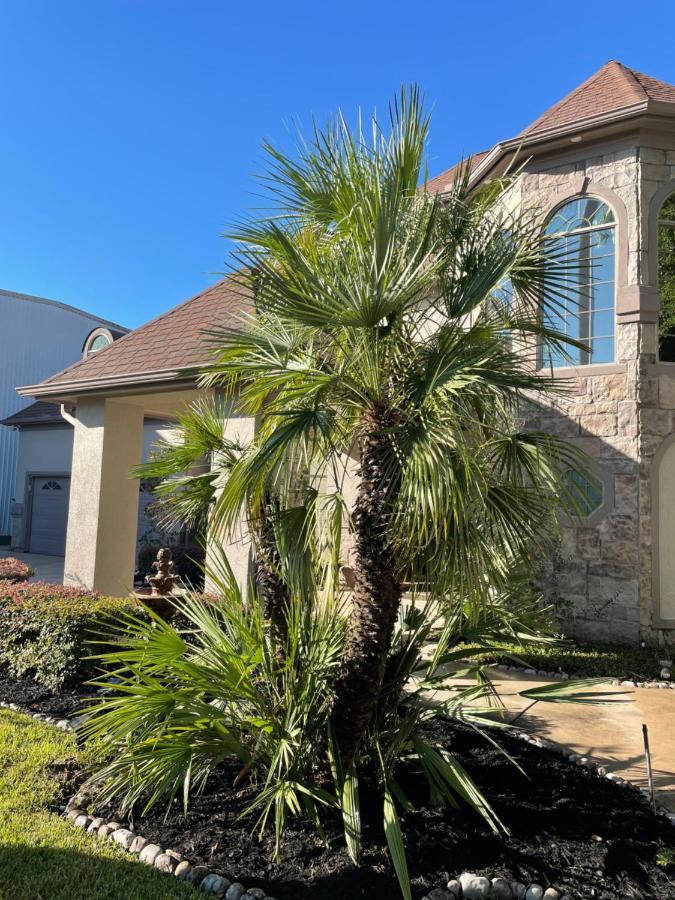 Villa Luxuria Mini-Mansion Near Houston Downtown Exterior foto